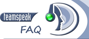 TS FAQ logo