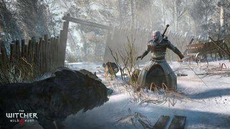 Четыре новых скриншота из The Witcher 3: Wild Hunt